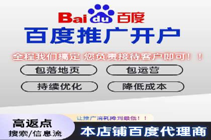 百度推广运营案例精选：揭秘成功之道